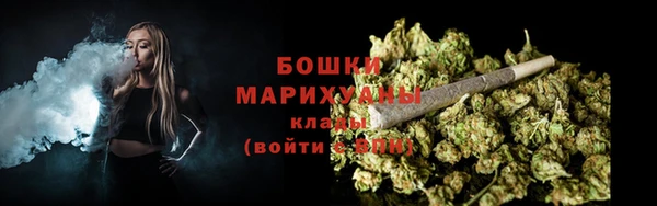 стафф Ладушкин