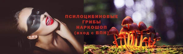 молекула духа Алексин