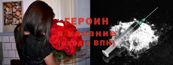 гидра Лагань