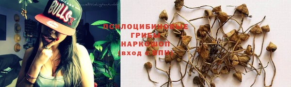 гидра Лагань
