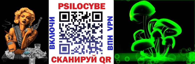 Псилоцибиновые грибы Psilocybine cubensis  Железноводск 