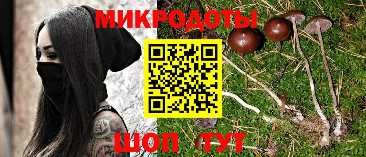 Псилоцибиновые грибы Magic Shrooms Железноводск