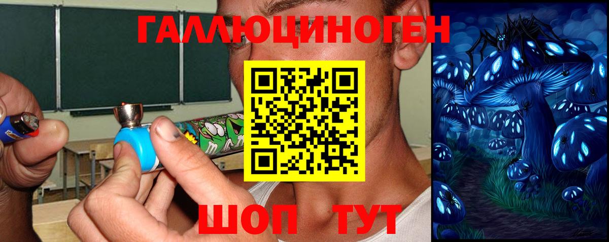 Псилоцибиновые грибы MAGIC MUSHROOMS  где купить   Железноводск 